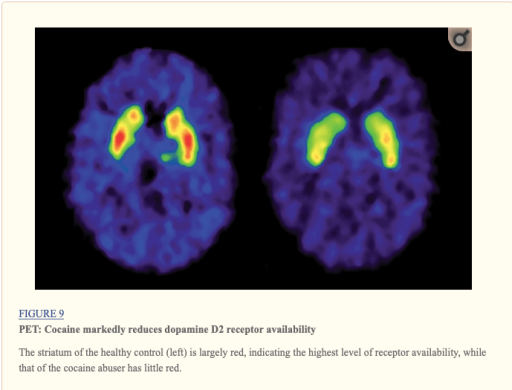 Screen Shot 2019-04-07 at 10.38.11 AM